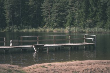 sonbahar renkleri ormanda su eski ahşap Bank