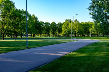 yapraklar ve ağaçlar etrafında ile perspektif içinde basit kırsal orman yolu