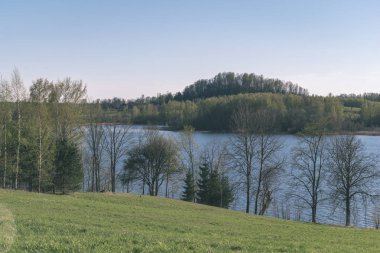 göl kıyısı ile yeşil yaz ayrı ağaçlarda arazi üzerinde. aracılığıyla görülen su ve yeşil yeşillik ön planda - retro vintage bakmak
