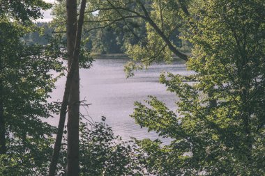 doğal vücut su. Gölet yansımaları, ağaç ve sakin su yüzeyi - vintage bir retro görünüm bulutlarda ile.