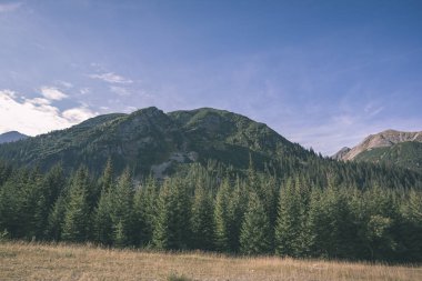 erken sonbahar renkleri - vintage bir retro görünüm içinde ağaçlar ve ormanlar ile kaplı bulutlu ve sisli Slovakça Western Karpat Tatra dağ manzarası