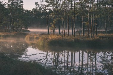 doğal vücut su. Gölet yansımaları, ağaç ve sakin su yüzeyi - vintage bir retro görünüm bulutlarda ile.