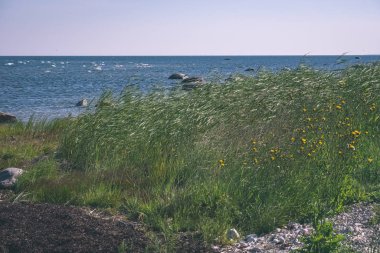 panoramik deniz plaj manzarası içinde kaya, bitkiler ve temiz su ile yaz aylarında güneşli bir gün