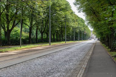 yapraklar ve ağaçlar etrafında ile perspektif içinde basit kırsal orman yolu