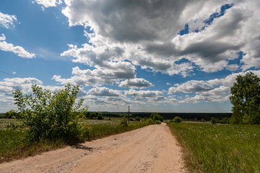 yapraklar ve ağaçlar etrafında ile perspektif içinde basit kırsal orman yolu