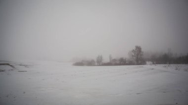 alanları ve ağaçların kar altında basit kırsal manzara Letonya. eski çim uzanarak