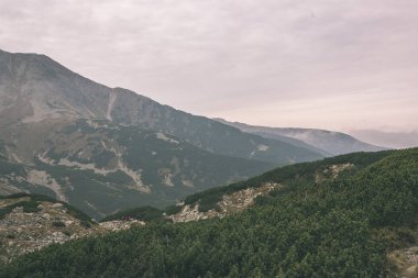 yürüyüş parkurları Slovakya Tatra Dağları yakınındaki dağ gölü Rohache