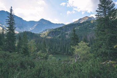 Batı Karpat Dağları açık gün Tatra yürüyüş rotaları