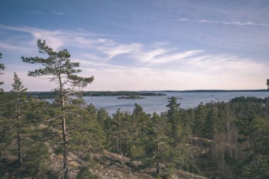 kayalık sahil şeridine Finlandiya'da birkaç çam ağaçları ve yaz aylarında sakin su 