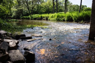 doğal vücut su. gölet yansımaları, ağaç ve bulutlarda sakin su yüzeyi ile
