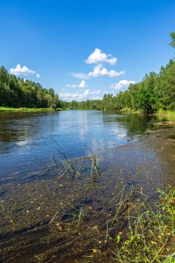 nehir, Amata Letonya yaz sabahı kumtaşı kayalıklarla, yeşil yaprakları ile su akışı