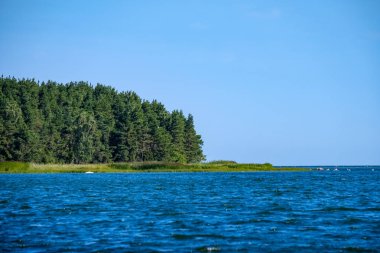 panoramik deniz plaj manzarası içinde kaya, bitkiler ve temiz su ile yaz aylarında güneşli bir gün