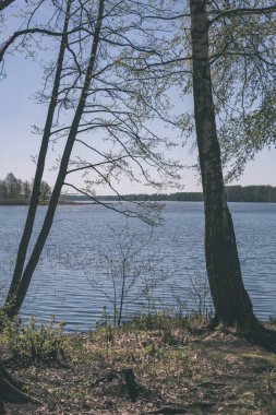 Göl kıyısında ormanla doğal görünümü 