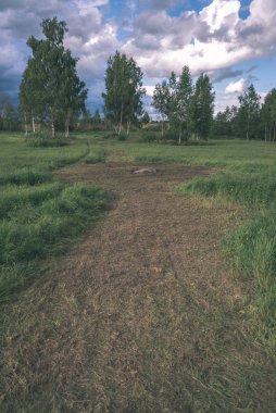 yapraklar ve ağaçlar çevresinde - vintage bir retro görünüm ile perspektif içinde basit kırsal orman yolu