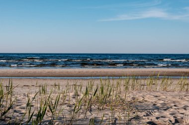 panoramik deniz plaj manzarası içinde kaya, bitkiler ve temiz su ile yaz aylarında güneşli bir gün