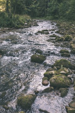 Slovakya dağ nehirde yeşil yaz saati 