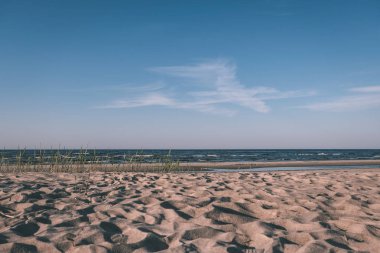 panoramik deniz plaj kayalar, bitkiler ve temiz su ile yaz aylarında güneşli gün - vintage bir retro görünüm görünümünde