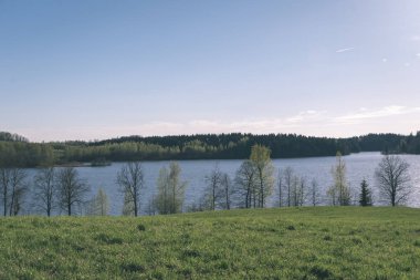 göl kıyısı ile yeşil yaz ayrı ağaçlarda arazi üzerinde. aracılığıyla görülen su ve yeşillik ön planda yeşil 