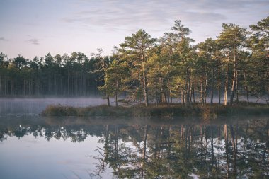doğal vücut su. Gölet yansımaları, ağaç ve sakin su yüzeyi - vintage bir retro görünüm bulutlarda ile