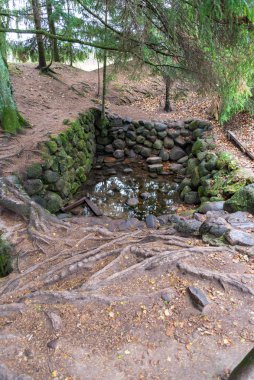 Büyük granit kaya diğerinden izole doğa ortamında tek