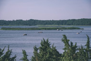 panoramik deniz plaj kayalar, bitkiler ve temiz su ile yaz aylarında güneşli gün - vintage bir retro görünüm görünümünde