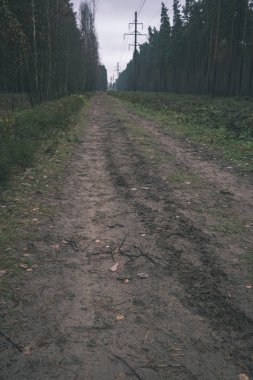 yapraklar ve ağaçlar çevresinde - vintage bir retro görünüm ile perspektif içinde basit kırsal orman yolu
