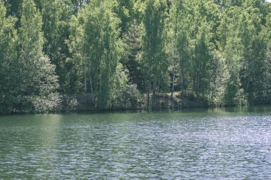 temiz su ve su çimen, bents ve yeşil yeşillik forest - vintage bir retro görünüm yakınındaki göl kenarında sakin yaz günü göster