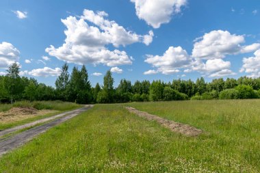 kabarık bulutlar ile mavi gökyüzü altında doğal yeşil alan