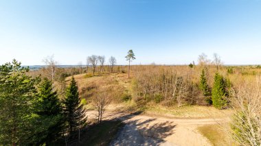 düz basit kırsal bahar, yatay, taze yeşil çayır ve orman. üzerinde mavi gökyüzü