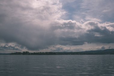 kayalık sahil şeridine Norveç'te kaç çam ağaçları ve mavi gökyüzü altında sakin su 