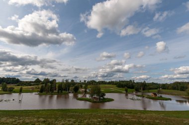 doğal vücut su. gölet yansımaları, ağaç ve bulutlarda sakin su yüzeyi ile