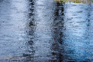 geç yaz, sakin su ve yeşil bitki örtüsü yansımalar akşam güneşi bataklık göller üzerinde