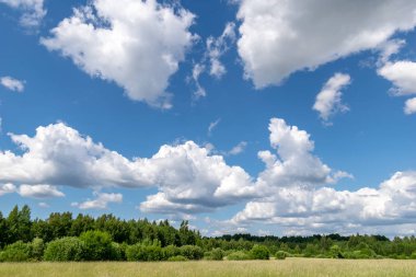 kabarık bulutlar ile mavi gökyüzü altında alan çiçekli yeşil çayır
