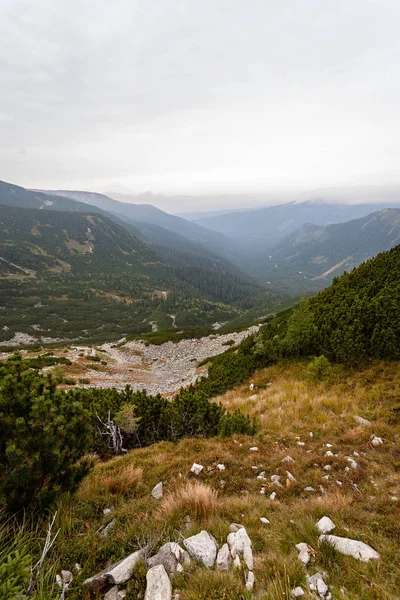 Vandringsleder Slovakien Tatra Nära Bergen Mountain Lake Rohache — Stockfoto