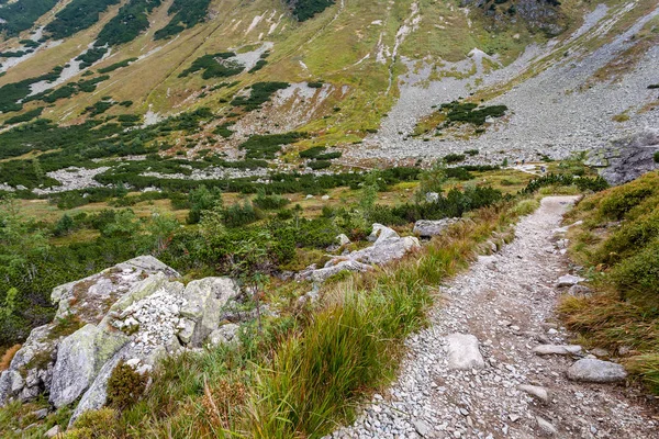 Sentiers Randonnée Slovaquie Montagnes Tatra Près Lac Montagne Rohache — Photo