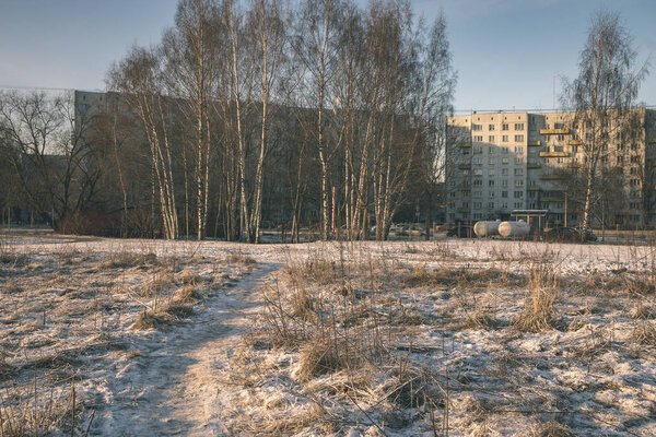 wild forest in winter with high level of snow at late evening before sunset - vintage retro look