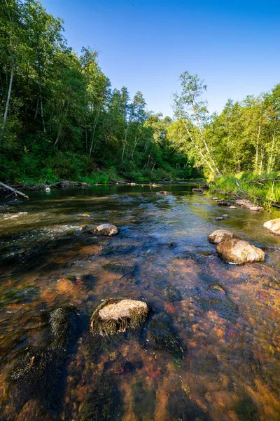 Día Verano Agua Río Tranquilo Encerrado Bosques Con Acantilados Piedra — Foto de Stock