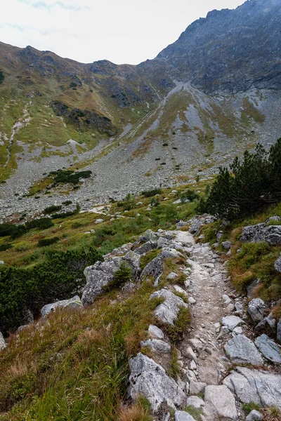 Sentieri Escursionistici Slovacchia Montagne Tatra Vicino Lago Montagna Rohache — Foto Stock