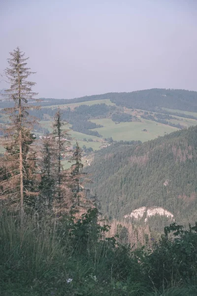 Західні Карпати Ясний День Tatra Пішохідних Стежок — стокове фото
