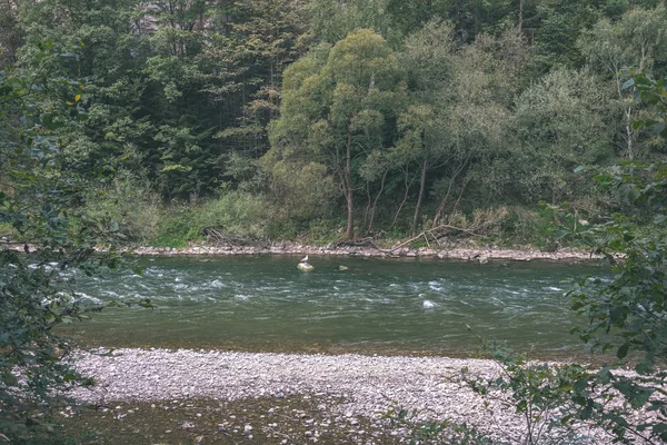 夏に木の後ろに緑色の水川 ドゥナイェツ スロバキア ヴィンテージのレトロな外観 — ストック写真