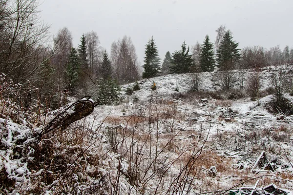 Enkle Landskap Latvia Med Åker Trær Snø Gammelt Gress Som – stockfoto