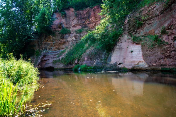 夏天的一天在水在平静的河里被森林包围与砂岩峭壁和干燥的木头 拉脱维亚布拉斯拉河中的暗水 — 图库照片