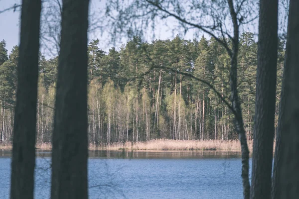 Vacker Utsikt Över Sjön Med Skog Stranden — Stockfoto