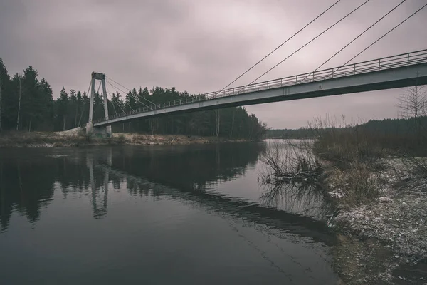 Houten Composiet Materiaal Voet Brug Water Een Groene Zomer Bos — Stockfoto