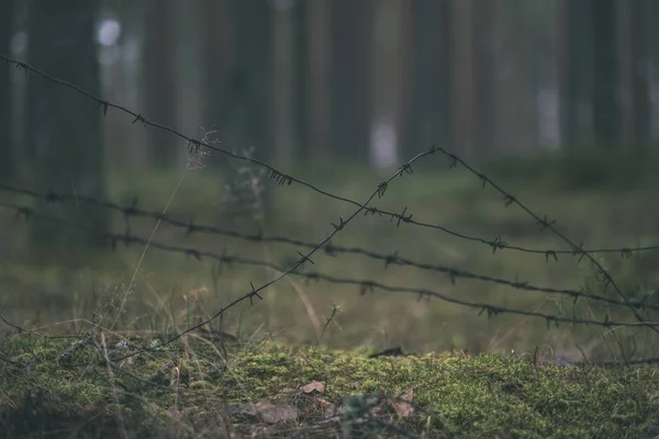 Staré Dřevěné Zákopy Lotyšsku Ostnatým Drátem Stráž Příspěvky Rekonstrukce První — Stock fotografie