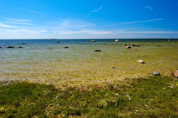Panoramic Sea Beach View Summer Rocks Plants Clean Water Sunny — Stock Photo, Image