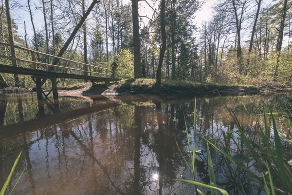 Festői Kilátással Tóra Fák — Stock Fotó