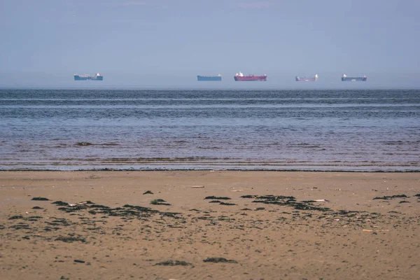 Praia Mar Vazia Primavera Com Algumas Aves Navios Carga Horizonte — Fotografia de Stock