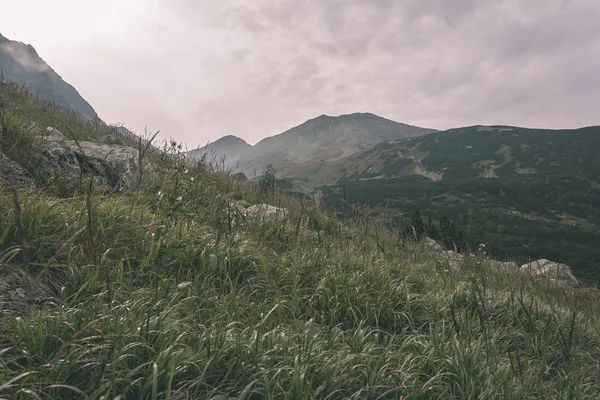 등산로에서 슬로바키아 타트라 Tatra Rohache — 스톡 사진