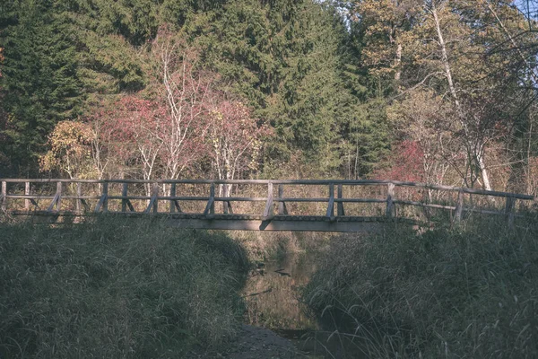 Ponte Pedonale Legno Materiale Composito Sull Acqua Verde Ambiente Forestale — Foto Stock
